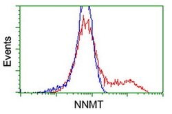NNMT Monoclonal Antibody (OTI1A1), TrueMAB , OriGene 100 &mu;L; Unconjugated:Antibodies,