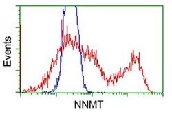 NNMT Monoclonal Antibody (OTI3E3), TrueMAB , OriGene:Antibodies:Primary