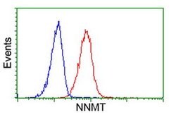 NNMT Monoclonal Antibody (OTI3E3), TrueMAB , OriGene 30 &mu;L; Unconjugated:Antibodies,