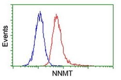 NNMT Monoclonal Antibody (OTI3E3), TrueMAB , OriGene 30 &mu;L; Unconjugated:Antibodies,