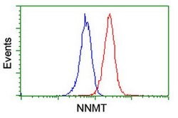NNMT Mouse anti-Human, Mouse, Clone: OTI3D8, lyophilized, TrueMAB 100 &mu;g;