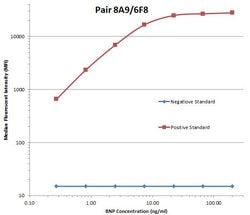 NPPB Monoclonal Antibody (OTI8A9), TrueMAB , OriGene:Antibodies:Primary
