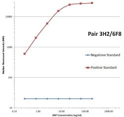 NPPB Monoclonal Antibody (OTI3H2), TrueMAB , OriGene 30 &mu;L; Unconjugated:Antibodies,