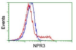 NPR3 Mouse anti-Human, Clone: OTI11H5, lyophilized, TrueMAB 100 &mu;g;