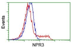 NPR3 Monoclonal Antibody (OTI11H5), TrueMAB , OriGene 30 &mu;L | Buy Online | Origene Technologies | Fisher Scientific