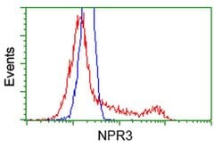 NPR3 Mouse anti-Human, Clone: OTI11H6, liquid, TrueMAB 30 &mu;L; Unconjugated:Antibodies,