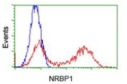 NRBP1 Mouse anti-Human, Clone: OTI2H1, lyophilized, TrueMAB 100 &mu;g;