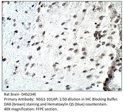 D4S234E Rabbit anti-Human, Mouse, Rat, Polyclonal, FabGennix 200 &mu;L;