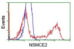 NSMCE2 Monoclonal Antibody (OTI3C10), TrueMAB , OriGene 100 &mu;L; Unconjugated:Antibodies,