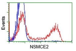 NSMCE2 Monoclonal Antibody (OTI4H9), TrueMAB , OriGene 100 &mu;L; Unconjugated:Antibodies,
