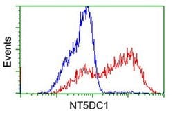 NT5DC1 Monoclonal Antibody (OTI3A6), TrueMAB , OriGene 30 &mu;L; Unconjugated:Antibodies,