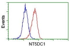 NT5DC1 Monoclonal Antibody (OTI3A6), TrueMAB , OriGene 30 &mu;L; Unconjugated:Antibodies,