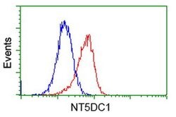 NT5DC1 Monoclonal Antibody (OTI3A6), TrueMAB , OriGene 30 &mu;L; Unconjugated:Antibodies,