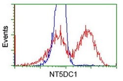 NT5DC1 Monoclonal Antibody (OTI3E1), TrueMAB , OriGene 30 μL; Unconjugated:Antibodies,