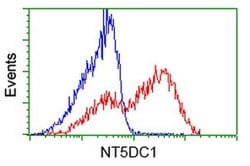 NT5DC1 Monoclonal Antibody (OTI1B1), TrueMAB , OriGene 100 &mu;L; Unconjugated:Antibodies,