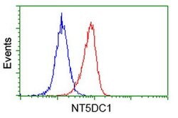 NT5DC1 Mouse anti-Human, Clone: OTI1B1, lyophilized, TrueMAB 100 &mu;g | Buy Online | Origene Technologies | Fisher Scientific