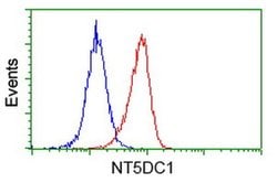 NT5DC1 Monoclonal Antibody (OTI1B1), TrueMAB , OriGene 100 &mu;L; Unconjugated:Antibodies,