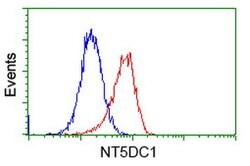 NT5DC1 Mouse anti-Human, Clone: OTI1B1, lyophilized, TrueMAB 100 &mu;g | Buy Online | Origene Technologies | Fisher Scientific