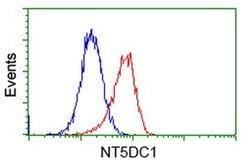 NT5DC1 Monoclonal Antibody (OTI1B1), TrueMAB , OriGene 100 &mu;L; Unconjugated:Antibodies,