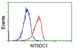 NT5DC1 Mouse anti-Canine, Human, Clone: OTI2H8, lyophilized, TrueMAB 100