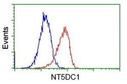 NT5DC1 Monoclonal Antibody (OTI2H8), TrueMAB , OriGene 100 &mu;L; Unconjugated:Antibodies,