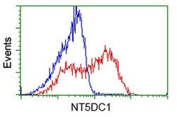 NT5DC1 Mouse anti-Canine, Human, Rat, Clone: OTI1E11, lyophilized, TrueMAB