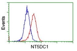 NT5DC1 Mouse anti-Human, Clone: OTI3H2, lyophilized, TrueMAB 100 &mu;g;