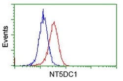 NT5DC1 Monoclonal Antibody (OTI3H2), TrueMAB , OriGene 30 &mu;L; Unconjugated:Antibodies,