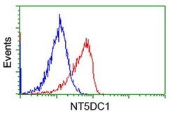 NT5DC1 Monoclonal Antibody (OTI3H2), TrueMAB , OriGene 30 &mu;L; Unconjugated:Antibodies,