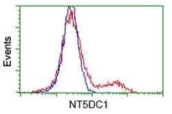 NT5DC1 Monoclonal Antibody (OTI2A1), TrueMAB , OriGene 100 &mu;L; Unconjugated:Antibodies,