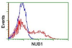 NUB1 Monoclonal Antibody (OTI2G1), TrueMAB , OriGene 100 &mu;L; Unconjugated:Antibodies,
