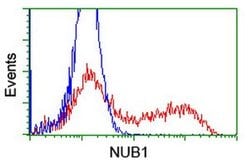 NUB1 Monoclonal Antibody (OTI4H2), TrueMAB , OriGene 100 &mu;L; Unconjugated:Antibodies,