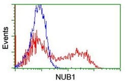 NUB1 Monoclonal Antibody (OTI1B7), TrueMAB , OriGene 100 &mu;L; Unconjugated:Antibodies,