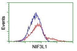 NUBPL Mouse anti-Human, Clone: OTI5F8, lyophilized, TrueMAB 100 &mu;g;