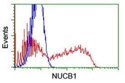 NUCB1 Mouse anti-Human, Clone: OTI1A3, lyophilized, TrueMAB 100 &mu;g;