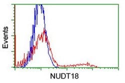 NUDT18 Monoclonal Antibody (OTI5D7), TrueMAB , OriGene 30 &mu;L; Unconjugated:Antibodies,