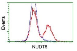 NUDT6 Monoclonal Antibody (OTI9F5), TrueMAB , OriGene 30 &mu;L; Unconjugated:Antibodies,