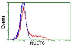 NUDT6 Monoclonal Antibody (OTI9D5), TrueMAB , OriGene 100 &mu;L; Unconjugated:Antibodies,