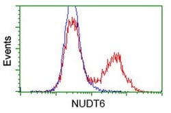 NUDT6 Monoclonal Antibody (OTI10B4), TrueMAB , OriGene 100 &mu;L; Unconjugated:Antibodies,