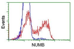 NUMB Mouse anti-Human, Clone: OTI6B2, lyophilized, TrueMAB 100 &mu;g | Buy Online | Origene Technologies | Fisher Scientific