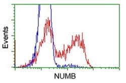 NUMB Monoclonal Antibody (OTI6B2), TrueMAB , OriGene 30 &mu;L; Unconjugated:Antibodies,