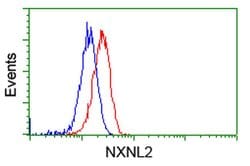 NXNL2 Monoclonal Antibody (OTI2B11), TrueMAB , OriGene 100 &mu;L; Unconjugated:Antibodies,