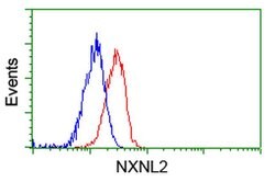 NXNL2 Monoclonal Antibody (OTI2B11), TrueMAB , OriGene 100 &mu;L; Unconjugated:Antibodies,