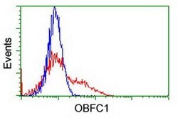OBFC1 Monoclonal Antibody (OTI1C5), TrueMAB , OriGene 100 &mu;L; Unconjugated:Antibodies,