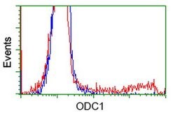 ODC1 Mouse anti-Human, Clone: OTI1G6, lyophilized, TrueMAB 100 &mu;g; Unconjugated:Antibodies,