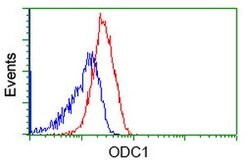 ODC1 Mouse anti-Human, Clone: OTI1G6, lyophilized, TrueMAB 100 &mu;g; Unconjugated:Antibodies,