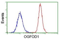 OGFOD1 Monoclonal Antibody (OTI1D9), TrueMAB , OriGene 30 &mu;L; Unconjugated:Antibodies,