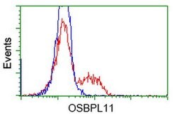 OSBPL11 Mouse anti-Human, Clone: OTI5A10, lyophilized, TrueMAB 100 &mu;g | Buy Online | OriGene | Fisher Scientific