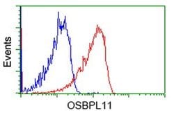 OSBPL11 Mouse anti-Human, Clone: OTI6A6, liquid, TrueMAB 100 &mu;L; Unconjugated:Antibodies,