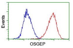 OSGEP Mouse anti-Canine, Human, Mouse, Rat, Clone: OTI9E3, lyophilized,